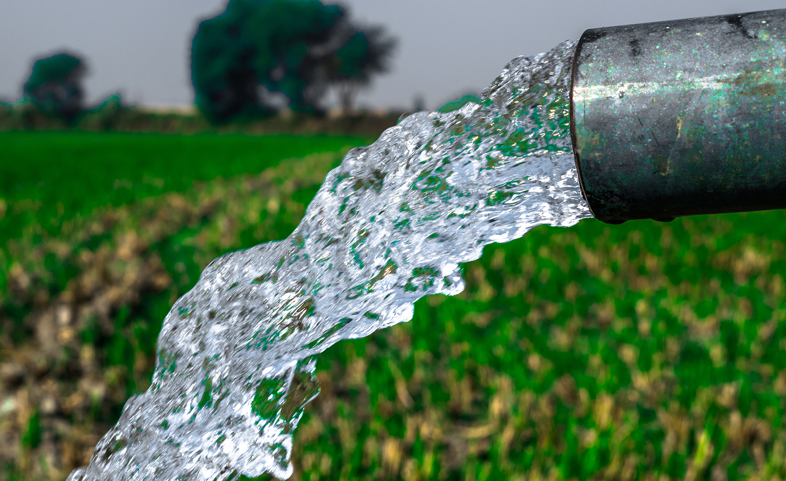 Water Resources & Irrigation